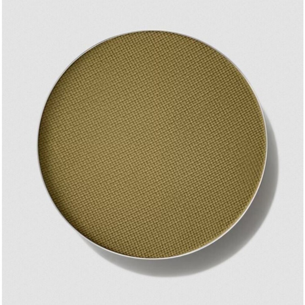 MAC MO' MONEY MO' PROBLEMS Eye Shadow ~ Hunter Green~ Pro Palette Pan
